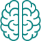 brain